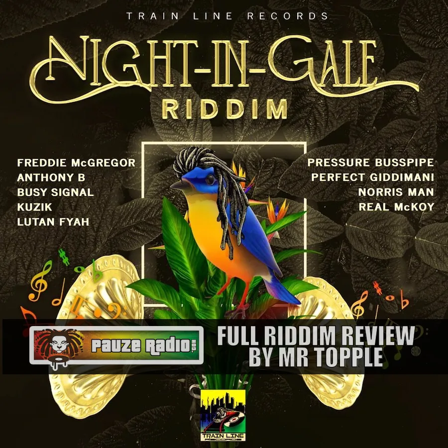 Various Artists – Night-In-Gale Riddim