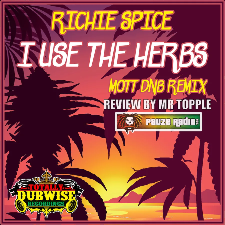 Richie Spice – I Use The Herbs Drum n Bass Remix